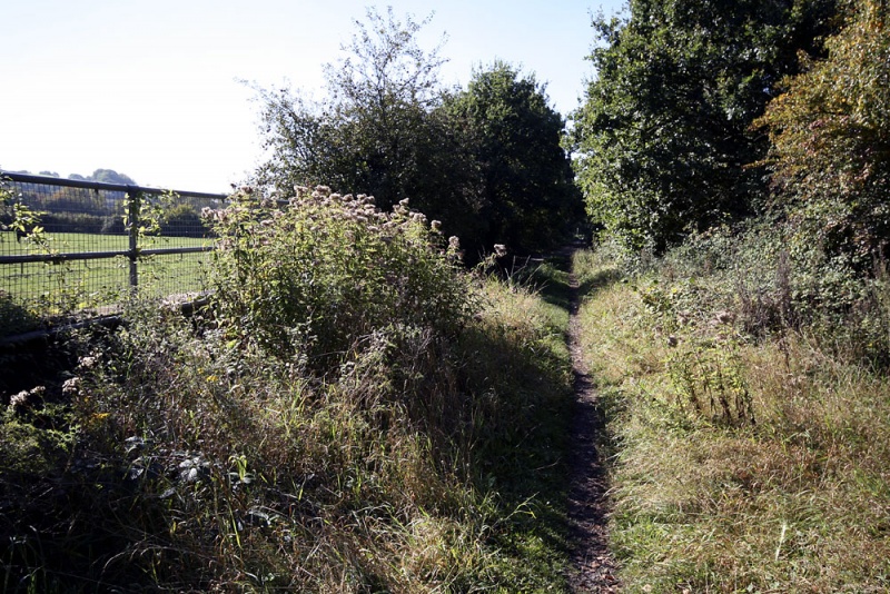 File:Coxgrove Hill2.jpg