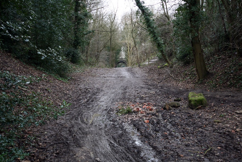 File:Wallbridge Mews4.jpg