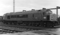 44007
