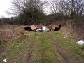 Standing with my back to Blind Yeo and looking towards Colehouse Bridge finds the trackbed blocked with brambles and rubbish. I must admit I was tempted to rearrange all that furniture to resemble someone's front room, would have made a blinding photo, but it was too cold...