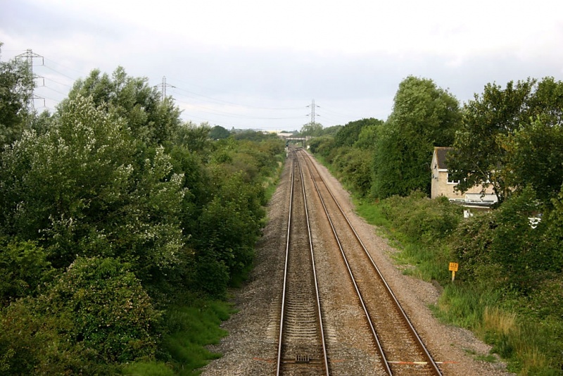 File:Summer Lane2.jpg