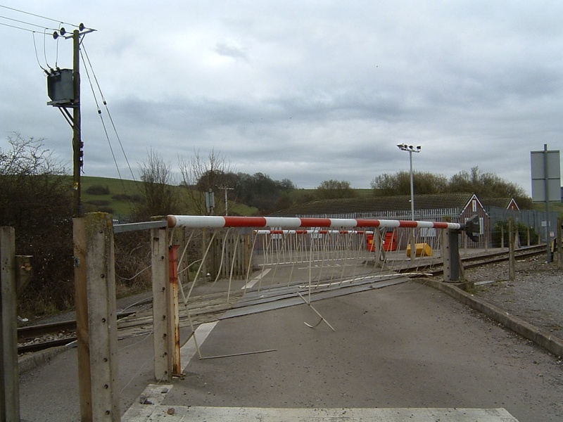 File:Dewshill Wood2.jpg