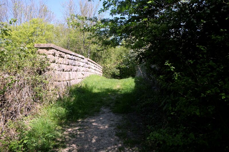 File:BucklandBridge1.jpg