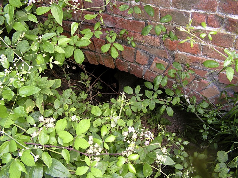 File:Parkfield Colliery7.jpg