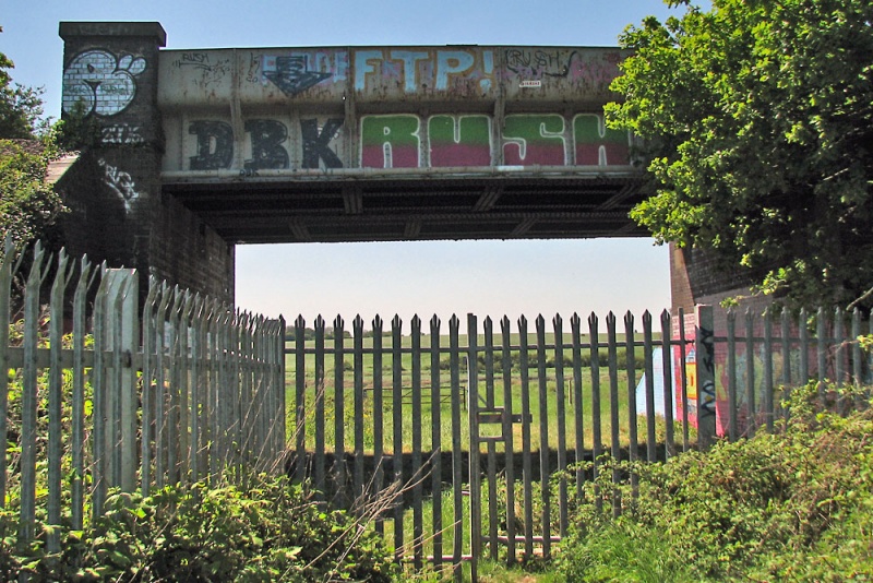 File:Crabtree Slip Wood3.jpg