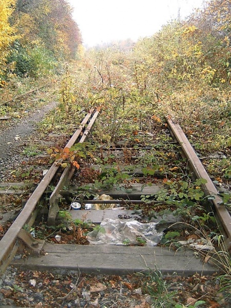 File:Ashton Meadows Sidings6.jpg