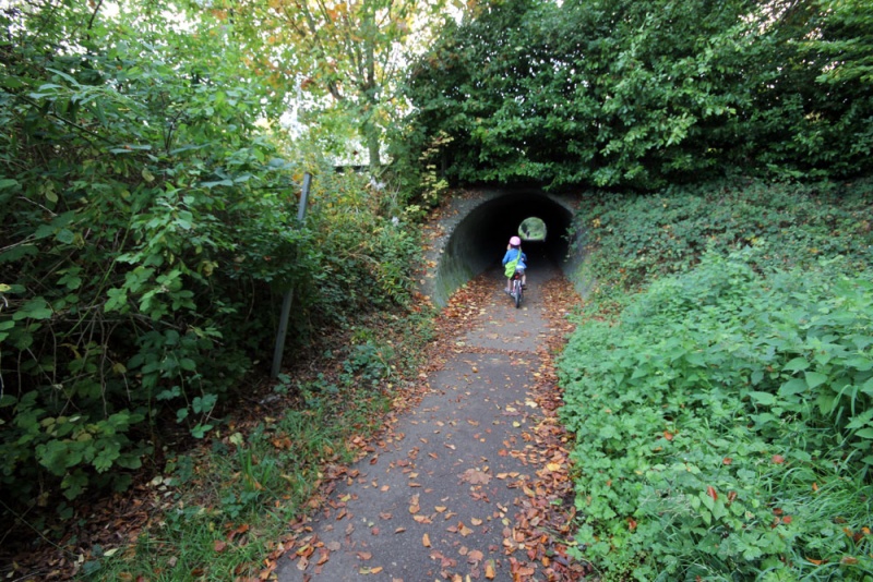 File:Selsley Hill1.jpg