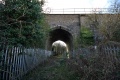 The bridge at Dryleaze viewed from the north.