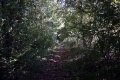 The view towards Yate. There is a path, but it's very overgrown.