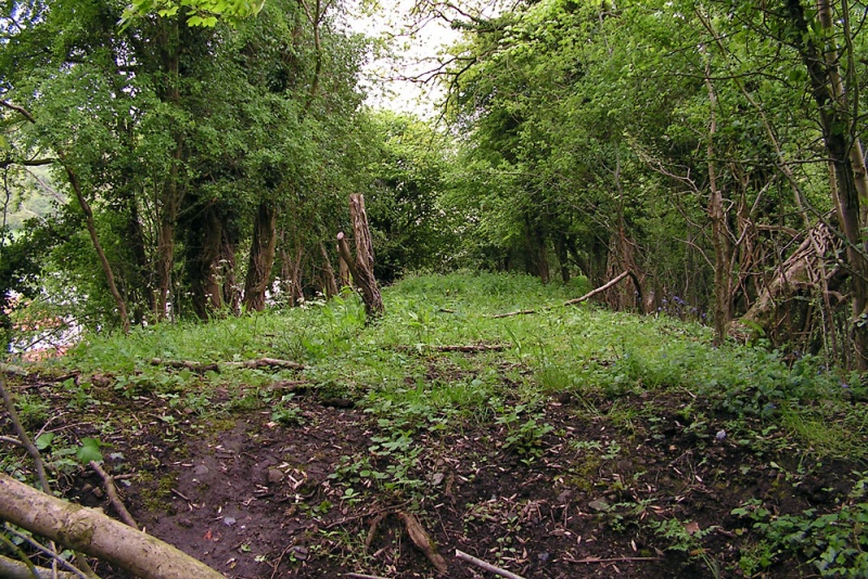 File:Harts Lane4.jpg