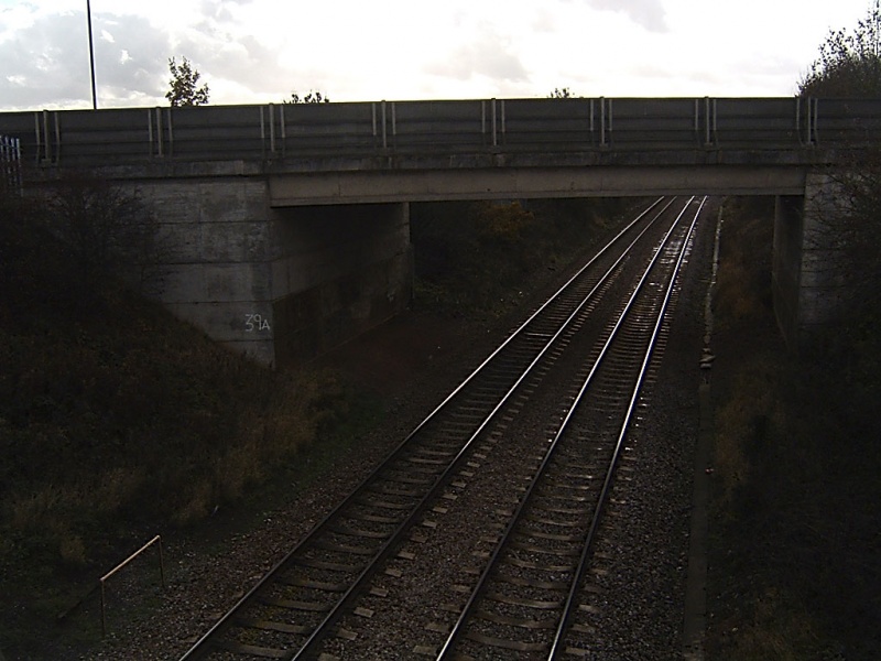 File:Goose Green2.jpg