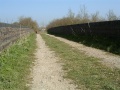 The bridge at this location carries a footpath across the railway.