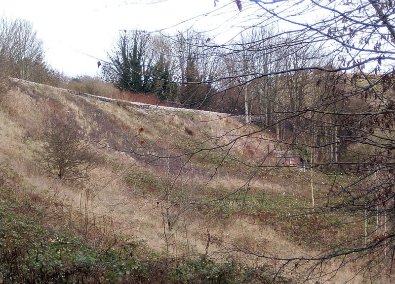 File:Horfield Brook1.jpg
