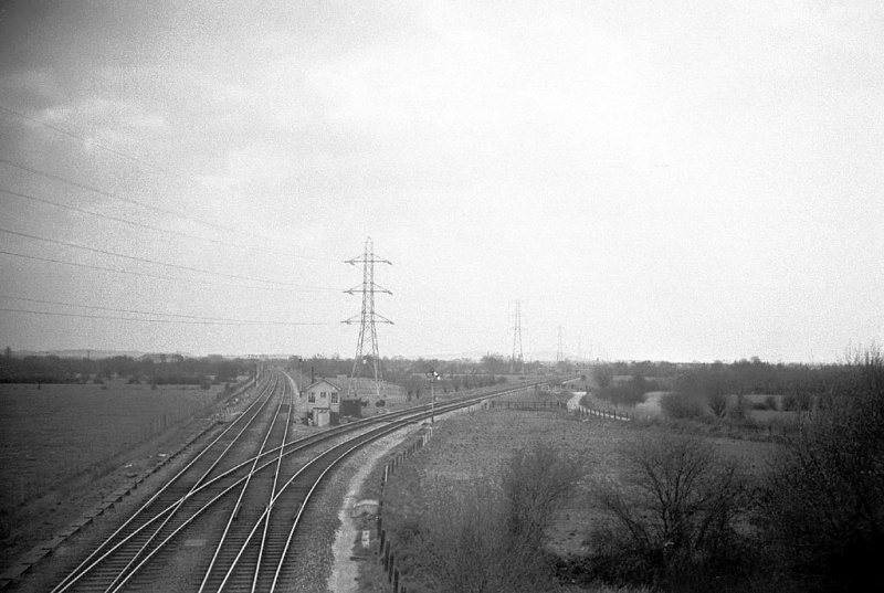 File:John Thorn6.jpg