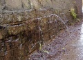 A close up of the water which was pushing itself through any and every crack in the mortar it could find.