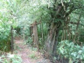 The next few photos show various footpaths and boundary fences at this location. © James Hyde
