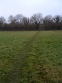 A longshot from the fields at Tubb's Bottom showing the railway embankment in the distance.
