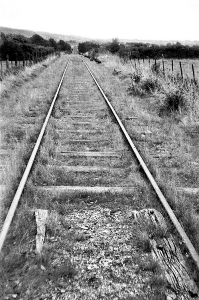 File:Iwood Lane1.jpg