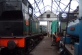 Inside the then roofless shed.