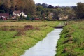 A heron sits at an unnamed rhyne near Cadbury Farm.