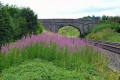 A photograph of the bridge at this location. © John Rawlings