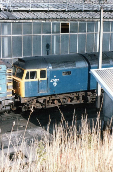 File:47017-1.jpg