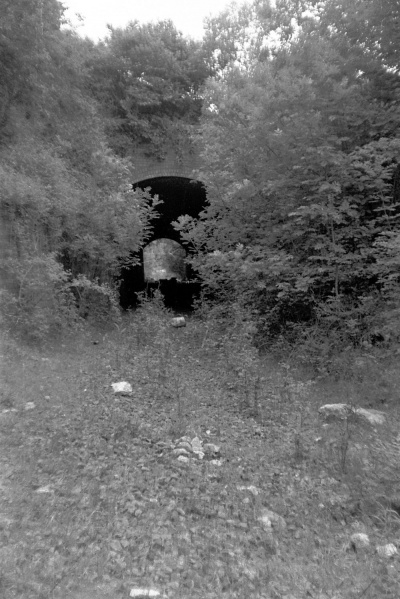 File:Combe Hay Tunnel1.jpg