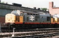 37681