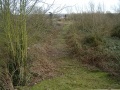 The 2005 view reveals a cleared trackbed. This was used as an access point for the machinery used to fill in the bridge.
