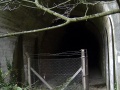 And closer still, and rather excitingly, someone's left the gate open :)