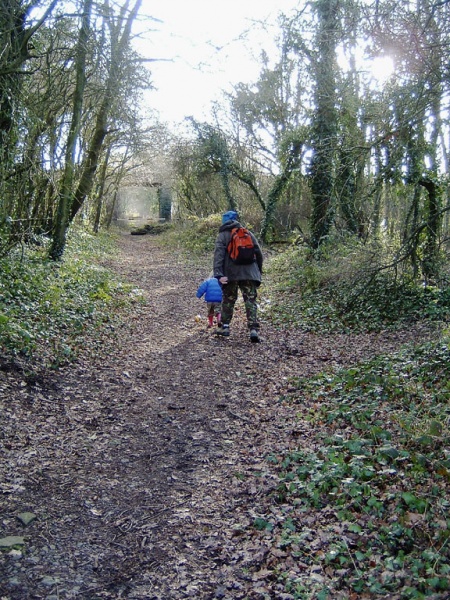 File:Frog Lane7.jpg