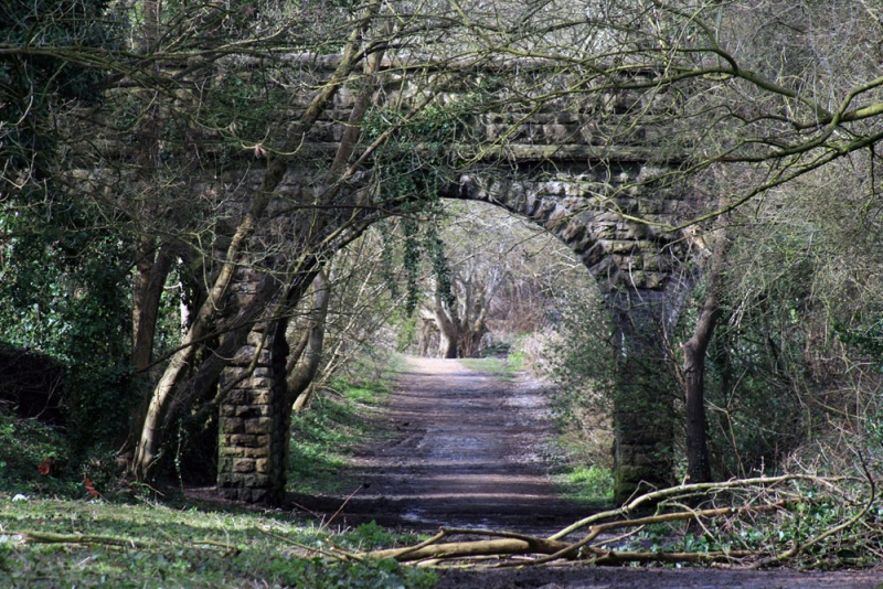 File:Maple Grove2.jpg