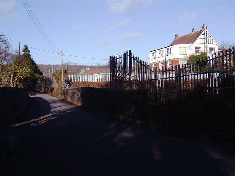 File:Wild Country Lane4.jpg