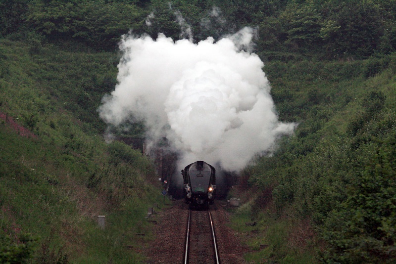 File:Buckhorn Weston Tunnel6.jpg