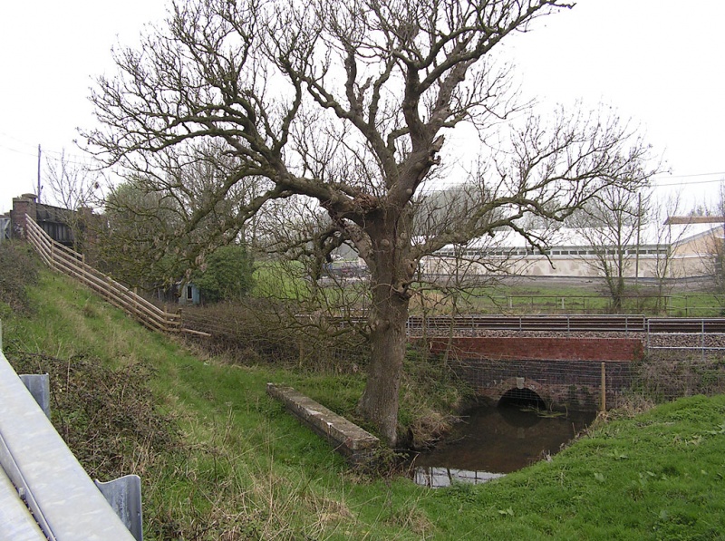 File:Balls Yeo Rhyne1.jpg