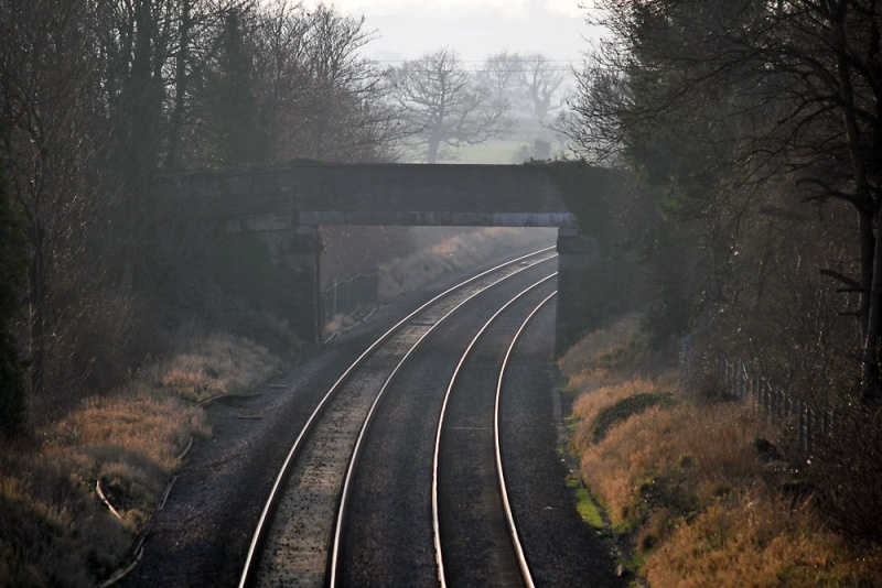 File:Peters Street1.jpg
