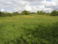 The view from the bridge at Maesknoll Lane looking north towards Whitchurch. The wide boundaries suggest that this would have once been quite a deep cutting.