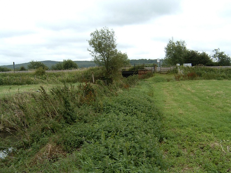 File:West Mead Rhyne2.jpg